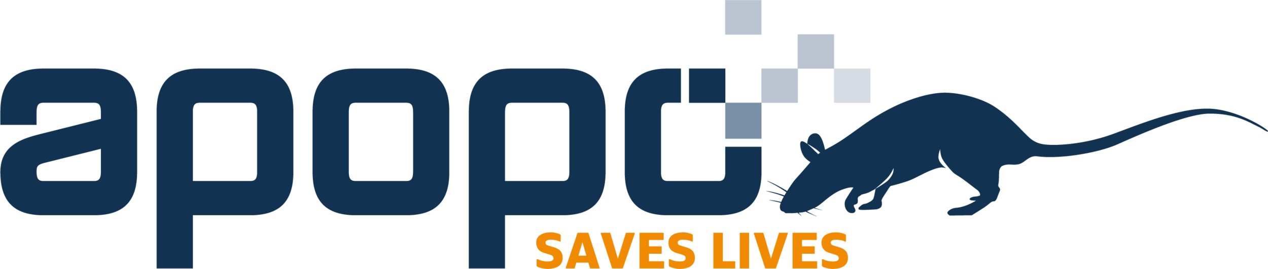 APOPO_saves-lives-with-rat.png